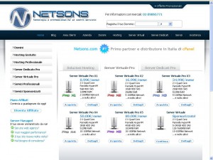 netsons