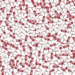 Come dividere e unire le pagine di un file PDF